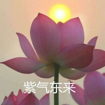 神之荣耀九游版下载
